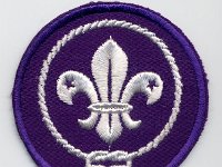 embleem World Scout - coll. Rense Karsten